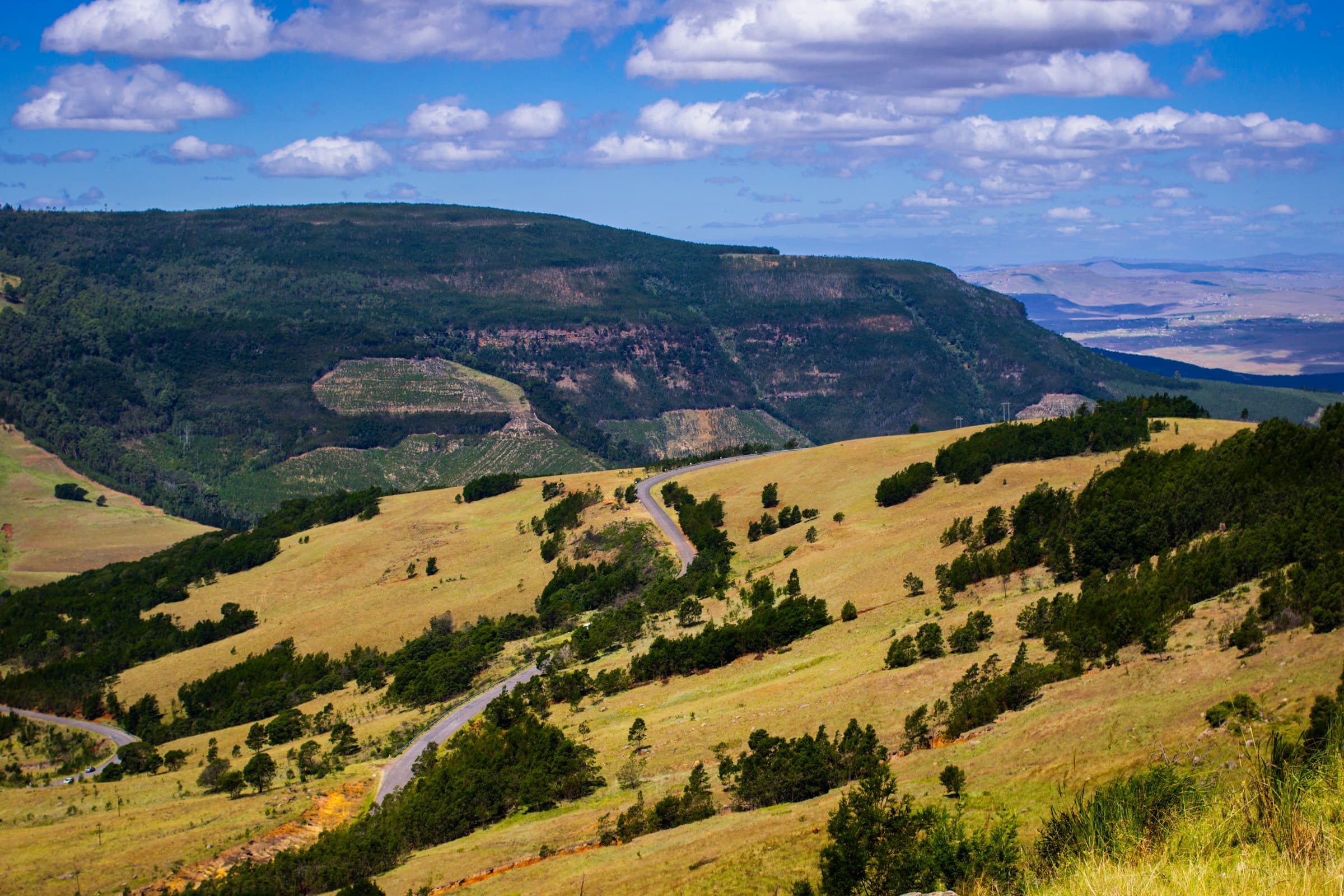 A road winding through green hills